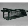Whit Bird Cage Animal Live Trap een vogelcagetrap